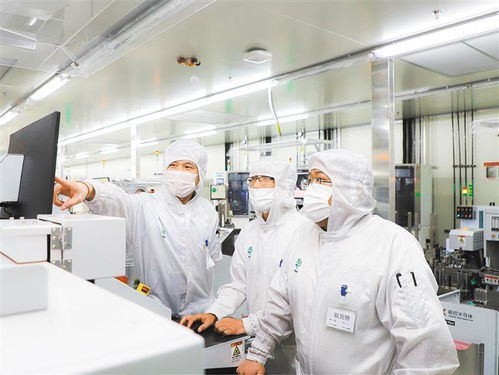 科創賦能 上海金山區高端制造業發展新圖景